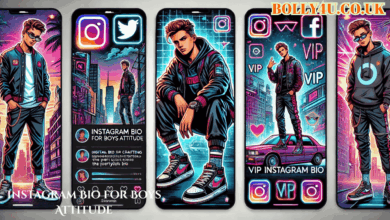Instagram Bio for Boys Attitude