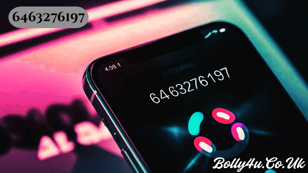 6463276197