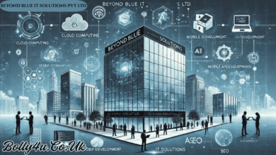 beyond blue it solutions pvt ltd