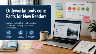 Onlyworkmoods com Facts for New Readers